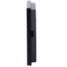 DS-KIS313-P(B)