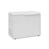 Orima ORE-322 Arca Horizontal Independente, 220 L, Branco - 226207 - 5603883213892