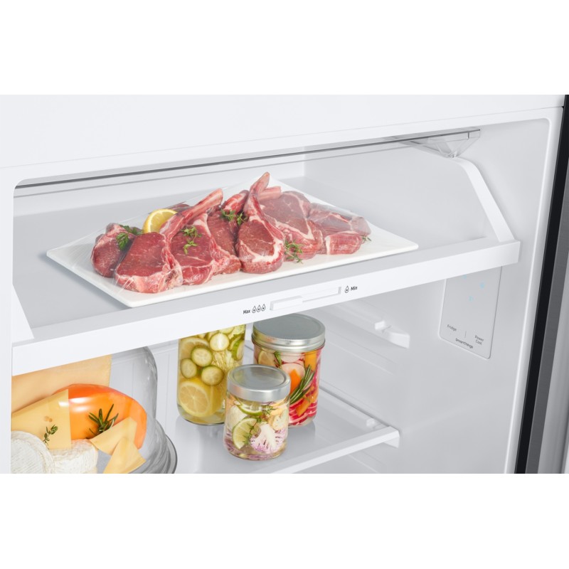 SAMSUNG - Frigorífico 2 Portas RT42CG6644S9ES