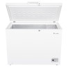 MEIRELES - Arca Horizontal MFA 311 W