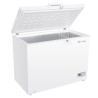 MEIRELES - Arca Horizontal MFA 311 W