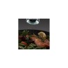 RUSSELL HOBBS - Moinhos Sal/Pimenta 23460-56