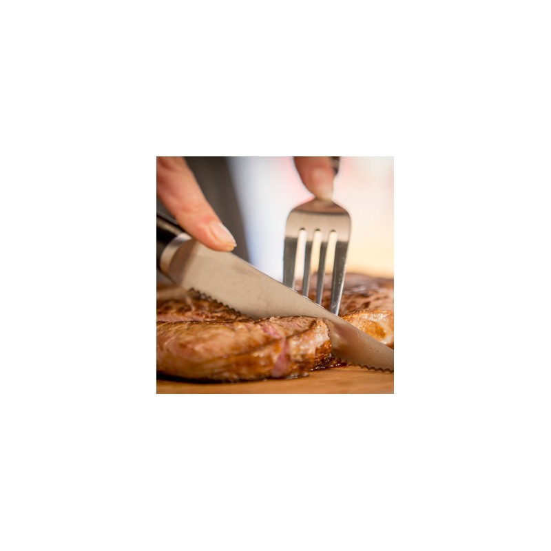 TEFAL - Set 4 Facas Carne 11cm K232S4PT