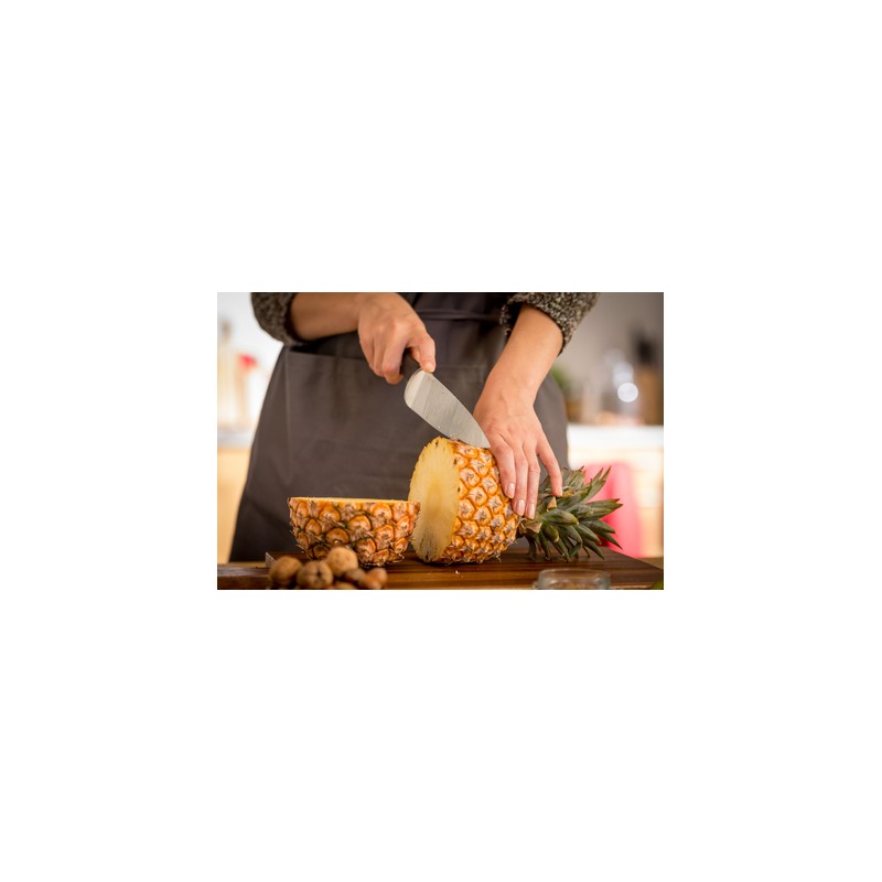 TEFAL - Faca Multiusos 20cm K23207PT