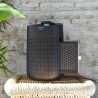 CECOTEC - Desumidificador BigDry 3000 PureLight Black 5615