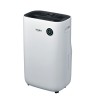 WHIRLPOOL - Desumidificador DE20W5252