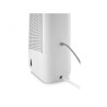 DELONGHI - Desumidificador DNS65