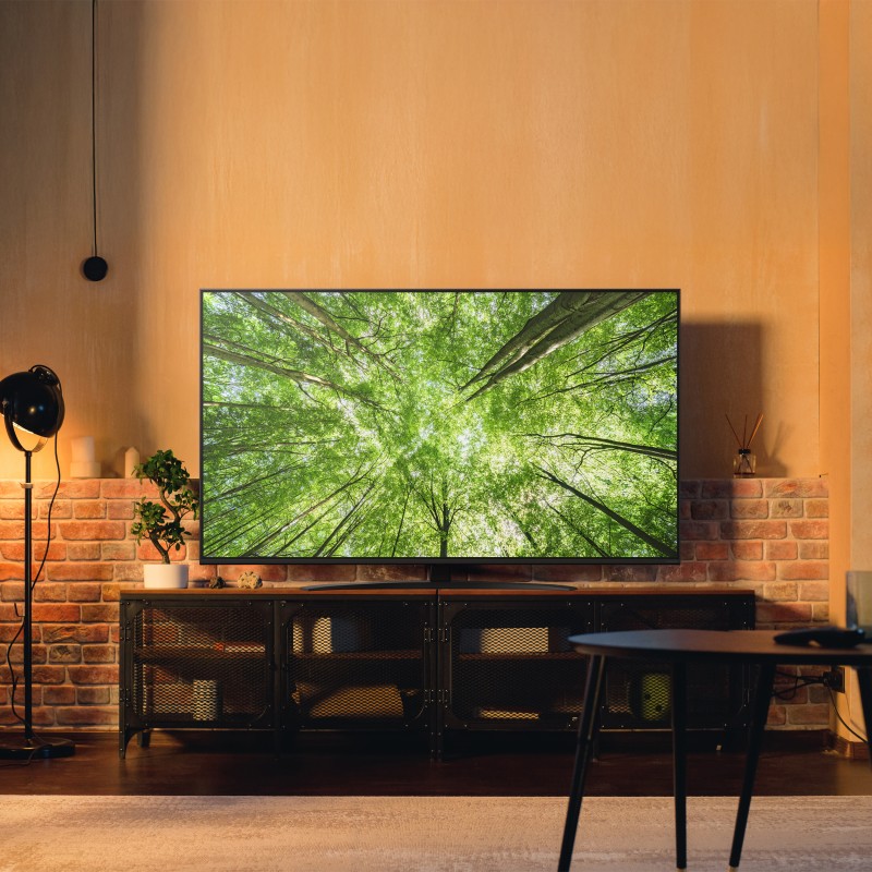LG 65NANO81A6A NanoCell AI TV Plano 165,1 cm (65") 4K Ultra HD, Smart TV, Wi-Fi, Ethernet, LAN, Bluetooth, Preto - 65NANO81A6A.AEU - 8806096360286
