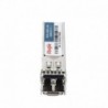 Reyee RG-MINI-GBIC-SX-MM850 Ruijie Modulo transceptor SFP Longitud de Onda 850 nm