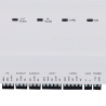 ZK-INBIO260PRO