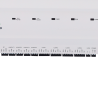 ZK-INBIO460PRO