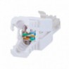 Conector de cabo UTP Conector saída RJ45 Oem CON300-TL - 8435325469225