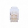 Conector de cabo UTP Conector saída RJ45 Oem CON300-TL - 8435325469225