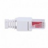 Conector de cabo UTP Conector de saída RJ45 Oem CON300-CAT6-TL - 8435325469232