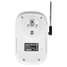 RT-101