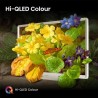 HISENSE - QLED Deco Smart TV FHD 43S5Q