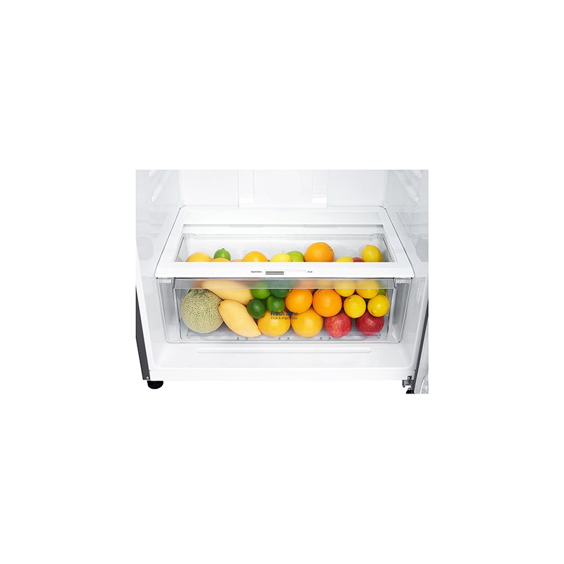 LG - Frigorífico 2 Portas GTF744PZPED
