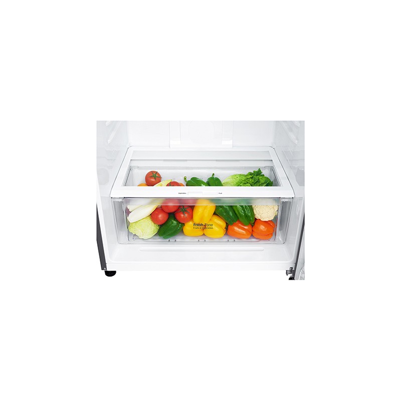 LG - Frigorífico 2 Portas GTF744PZPED