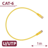 UTP6-H-1Y