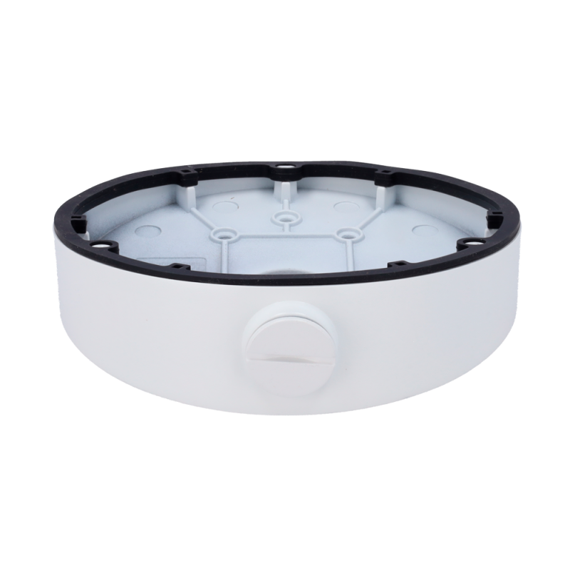 DS-1281ZJ-DM25(M1)