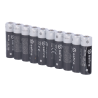 10XBATT-AA-FR06