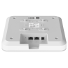 RG-RAP2200(E)
