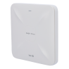RG-RAP2260G