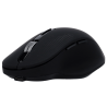 SF-MOUSE-B