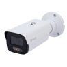 SF-IPB386A-4I1-DL