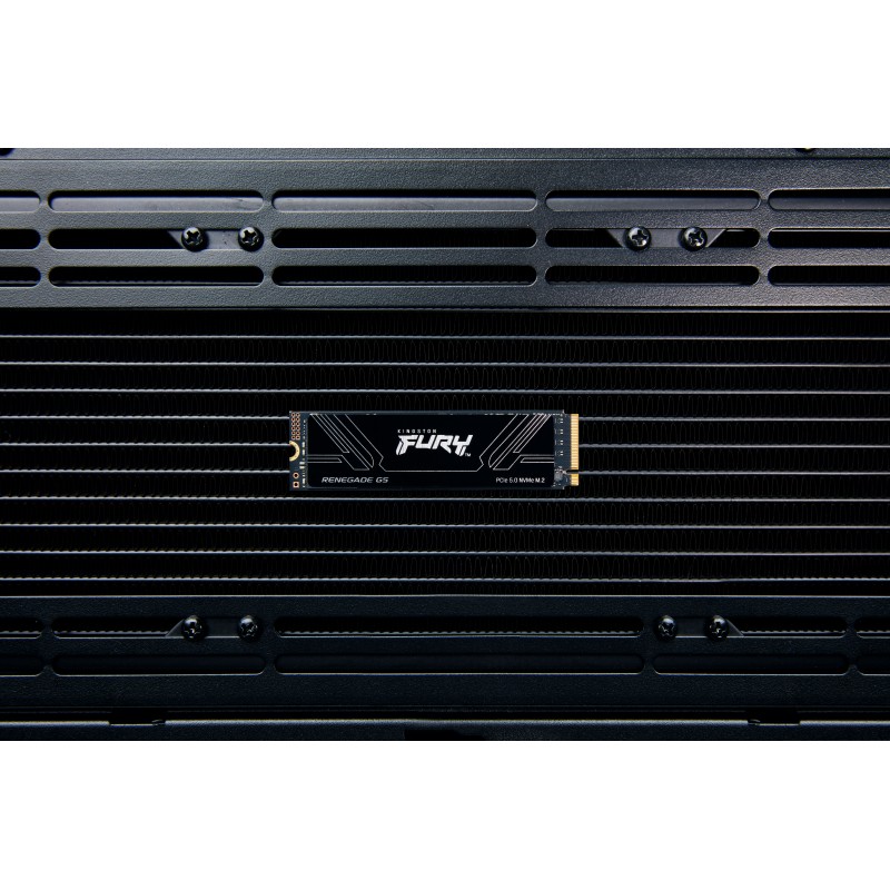 Kingston Technology KIN-SSD FURY RENEG G5 2TB Disco SSD FURY Renegade G5 2 TB M.2 PCI Express 5.0 NVMe 3D TLC - SFYR2S/2T0 - 0740617349498