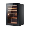 HAIER - Cave de Vinhos HWS49GA