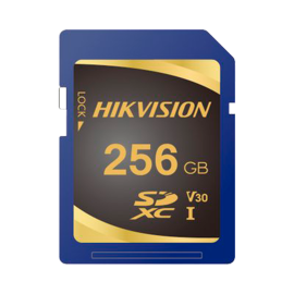 HIKSEMI HS-SD-P10STD-256G