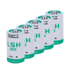 Oem 10XBATT-LSH20-S