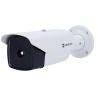 Hikvision HM-TD2138-10/G0/T1Y(L)