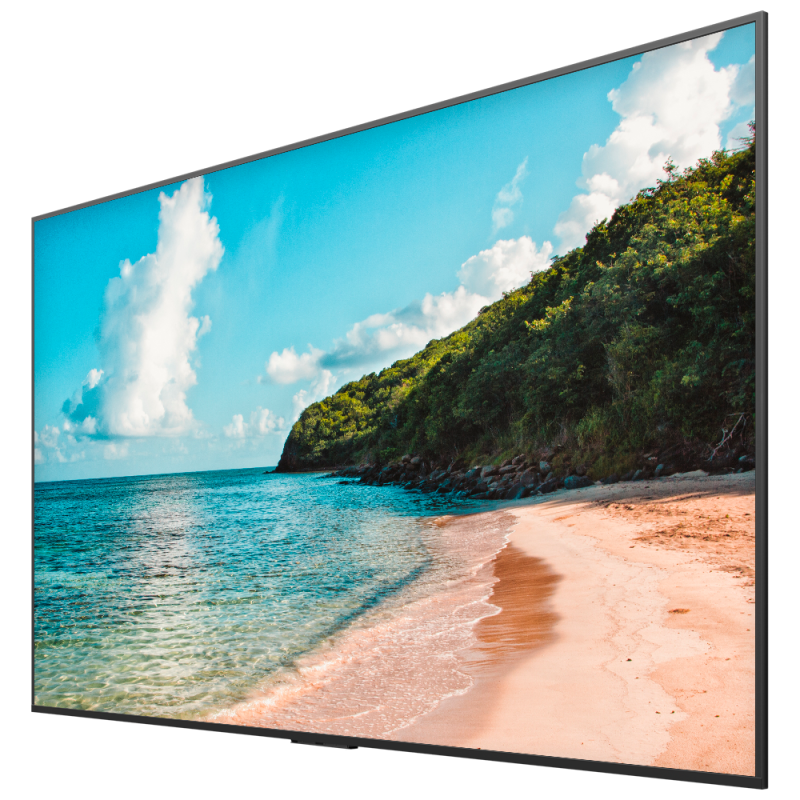 Hisense HIS-100DM66E