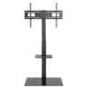 Oem LDT03-17FL