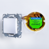 Shelly SH-DIMMER-2