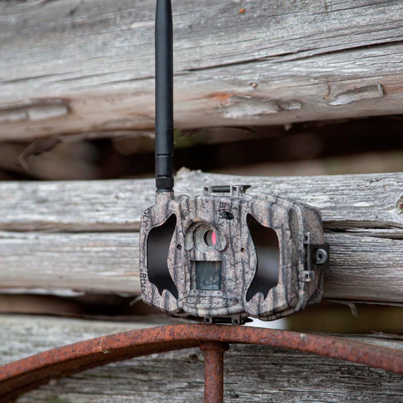 Oem TRAILCAM-36M-4G