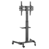 Oem FS22-44TW