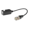 Safire BA612P-POC