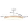 Grunkel SKYWOOD42 Ventoinha de Teto com Comando, 106 cm, 30 W, 6 Velocidades, 3 Pás, Temporizador, Luz LED Integrada 24 W, Efeito Madeira - 8426156019475