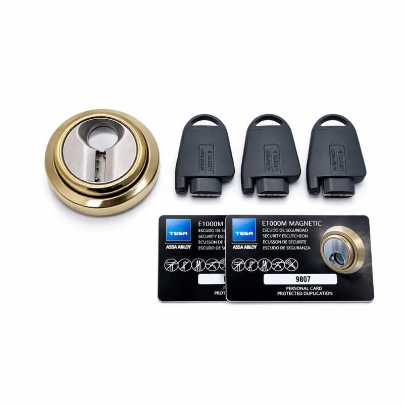 Yale TESA-ESCUTCHEON-MAGNETIC-G