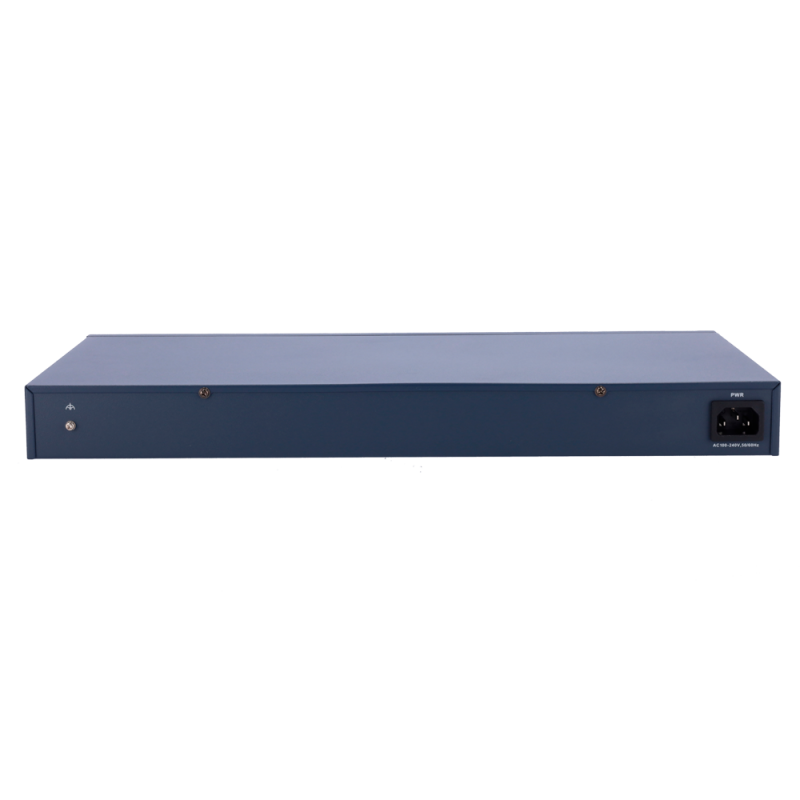 DS-3E1318P-EI(B)