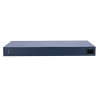 DS-3E1318P-EI(B)
