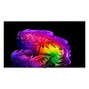 LG OLED77G64LW.AEU OLED evo TV Plano 195,6 cm (77") 4K Ultra HD, Smart TV, Wi-Fi, Ethernet, LAN, Bluetooth, Prateado - 8806096686232