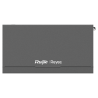 RG-EG210G-P-V3