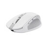 Trust Ozaa Rato Sem Fios RF/Bluetooth 3200 DPI Ótico 6 Botões Branco - 24933 - 8713439249330