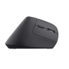 Trust Bayo+ Rato Sem Fios RF/Bluetooth Vertical 2400 DPI Ótico 6 Botões Preto - 25146 - 8713439251463