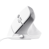 Trust Bayo II Rato Com Fios USB Vertical 2400 DPI Ótico 6 Botões Branco - 25397 - 8713439253979
