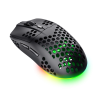 Trust GXT 929 Helox Rato Gaming RGB Sem Fios RF Wireless 4800 DPI Ótico 6 Botões Preto - 25307 - 8713439253078